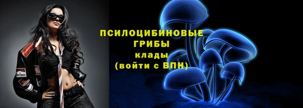 мдма Горняк