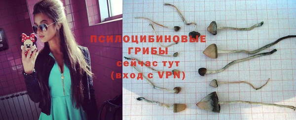 мдма Горняк