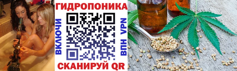 купить наркотики сайты  Дальнереченск  Бошки Шишки VHQ 